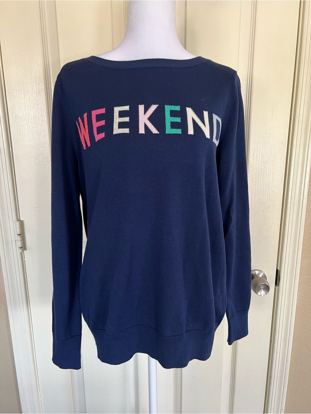 GAP Weekend Navy Cotton Graphic Sweater Size Large NWT